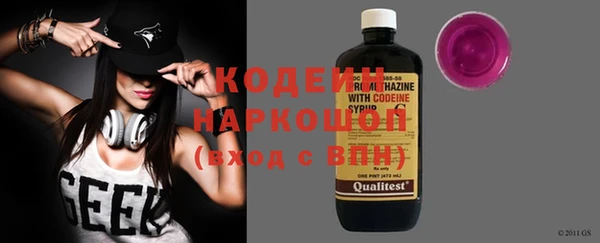 эйфоретик Бородино
