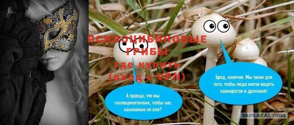 эйфоретик Бородино