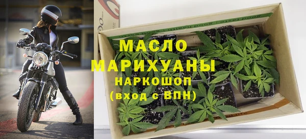 эйфоретик Бородино
