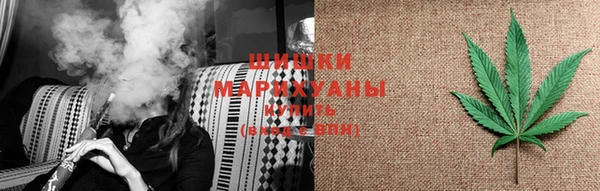 эйфоретик Бородино