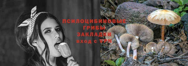 эйфоретик Бородино