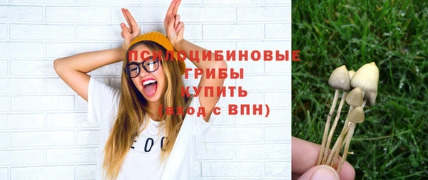 Альфа ПВП Бронницы